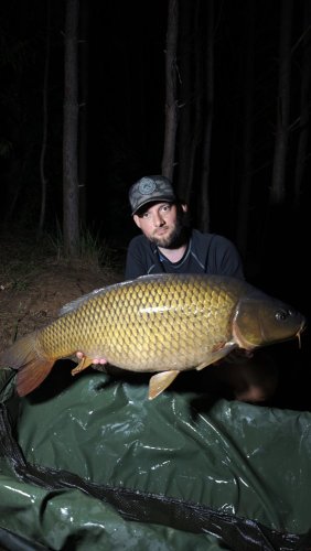 Boilies Pikantní perník
