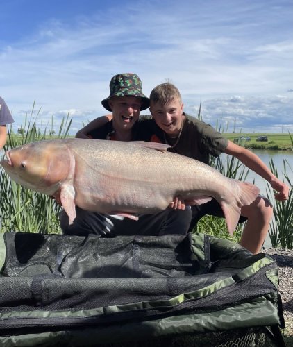 118cm, 31kg, pop up Ananas