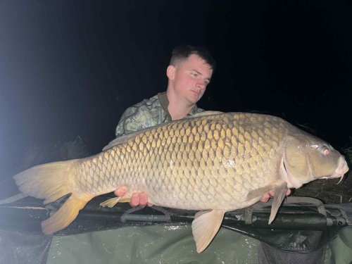 Boilies Pikantní krill