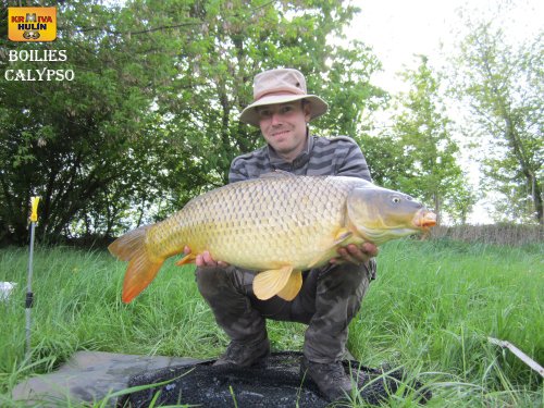 Boilies calypso 