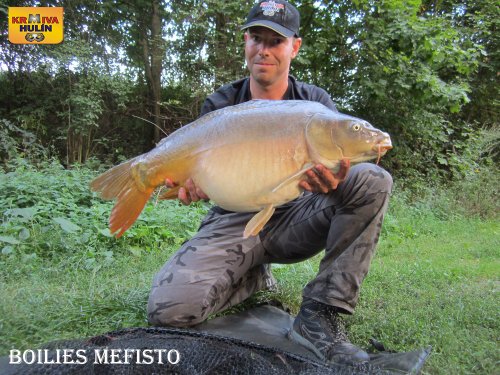 Boilies mefisto