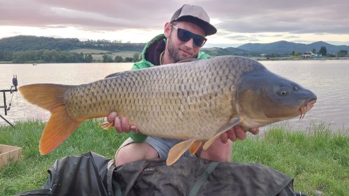 Boilies Krill a oliheň, Pop up Banán a meruňka