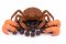 Boilies - MONSTER CRAB - Ø 20 mm (Krmiva Hulín, BOMC20-1) | Krmiva Hulín