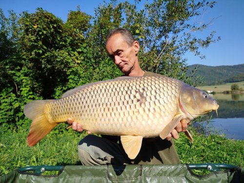 Boilies Pikantní perník