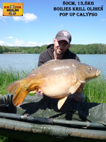 80cm, 13,8kg, boilies Krill/Oliheň, pop up Calypso, svazová voda