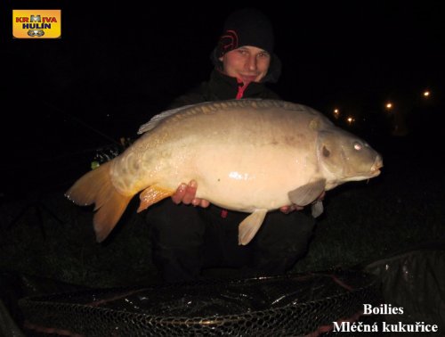 Boilies mléčná kukuřice