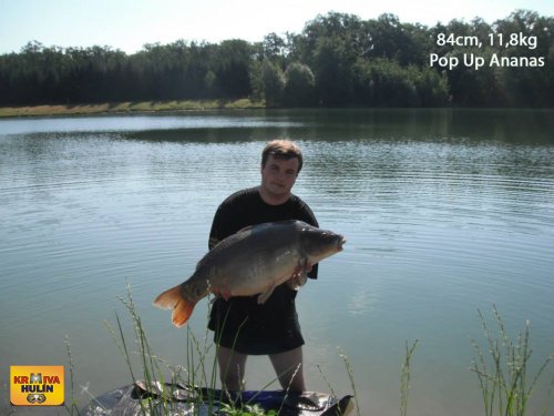 84cm, 11,8kg, pop up Ananas