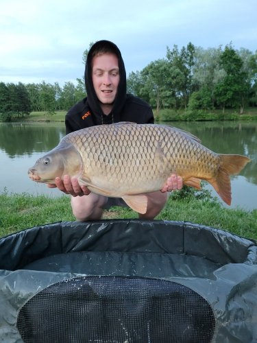 Boilies Tygří ořech
