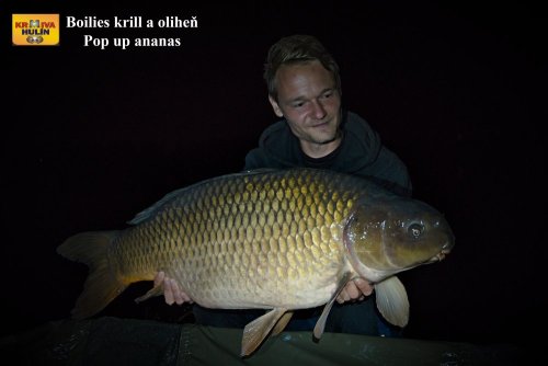 Boilies krill/oliheň, pop up ananas