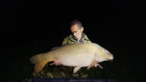 Boilies Pikantní perník