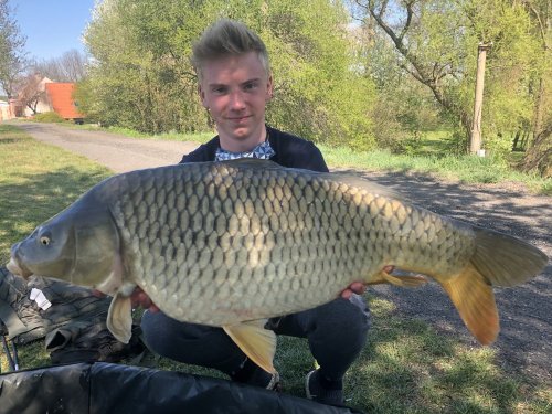 Boilies Pomeranč/Chilli vlastní výroby
