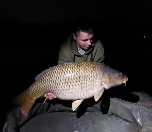 Boilies Pikantní jahoda