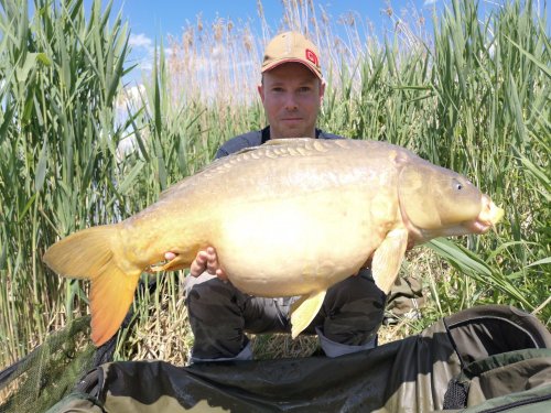 Boilies Pikantní krill
