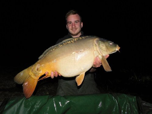 14kg, Pop up Pikantní jahoda