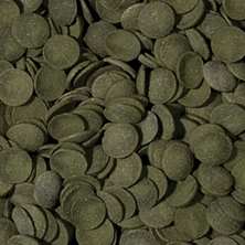 TROPICAL GREEN ALGAE WAFERS - Vyberte balení: 100 ml / 45 g