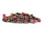 Směs VNADÍCÍCH PELET - Mix 10 druhů Ø 8 - 20 mm - Vyberte balení: 5 kg