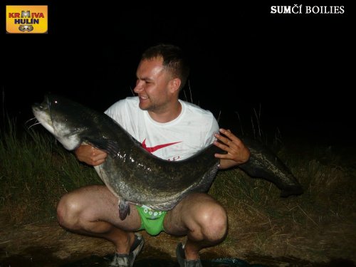 Sumčí boilies