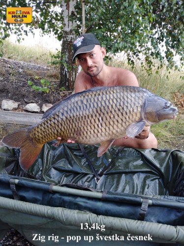 13,4 kg, zig rig - pop p švestka/česnek