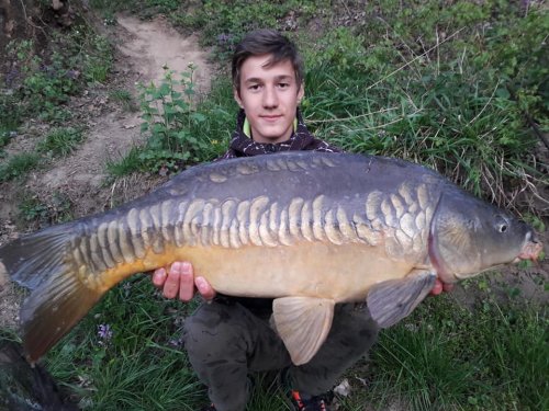 Boilies Tygří ořech