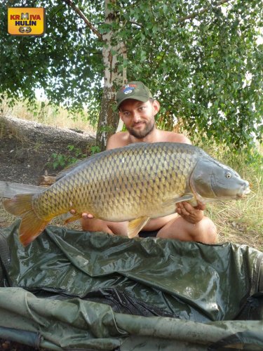 15,5kg, zig rig pop up ananas