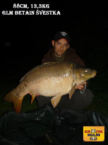 88cm, 13,3kg, boilies GLM betain se Švestkou, svazová voda