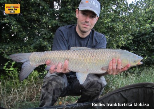 Boilies frankfurtská klobása