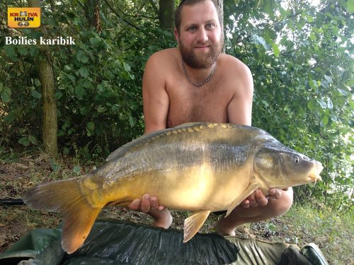 Boilies karibik