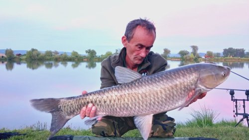 Boilies Hybrid Pikantní jahoda / Banán
