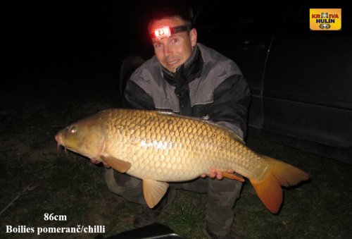 86cm, boilies pomeranč/chilli