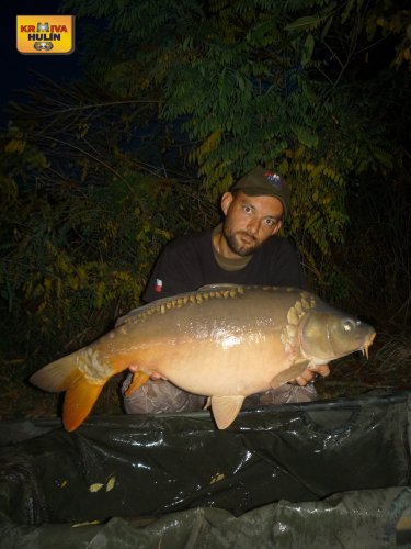 10kg, boilies krill se švestkou, svazová pískovna