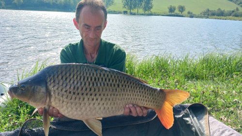 Boilies Frankfurtská klobása