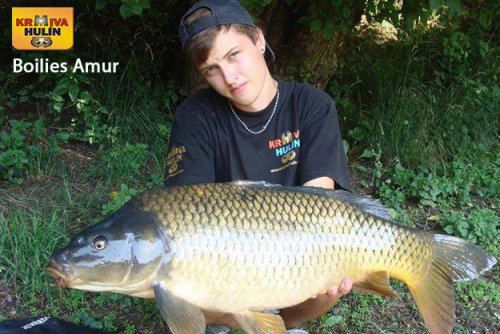 Boilies Amur