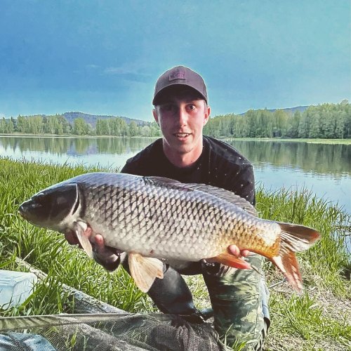 Boilies Pomeranč/Chilli