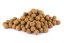 Boilies - TYGŘÍ OŘECH (Krmiva Hulín, BOTO-1) | Krmiva Hulín