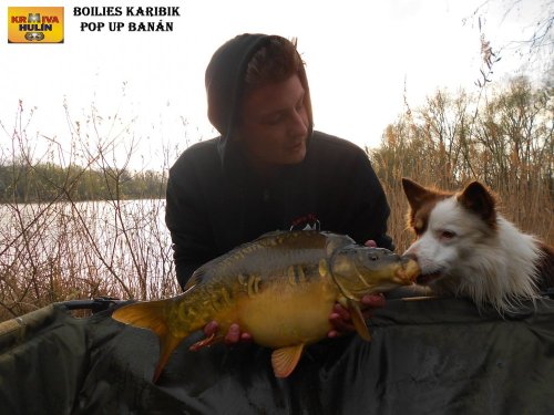 Boilies Karibik v dipu, pop up Banán/Meruňka, svazová voda