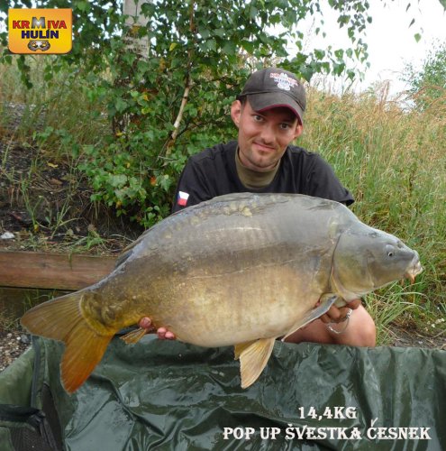 14,4kg, pop up Švestka/Česnek