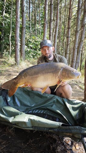 15,6kg, Boilies Pikantní perník