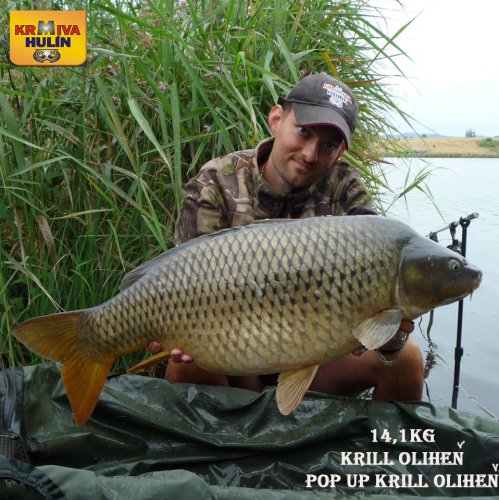 14,1kg, boilies Krill/Oliheň, pop up Krill/Oliheň