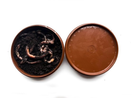 KANADSKÉ ROUSNICE - spolehlivá živá nástraha (KAŽÍ) | Krmiva Hulín KANADSKÉ ROUSNICE - spolehlivá živá nástraha (KAŽÍ) | Krmiva Hulín