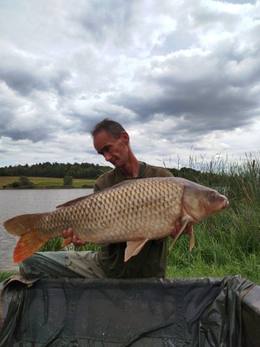 Boilies Pikantní perník