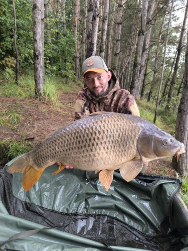 17,5kg, boilies Pikantní perník