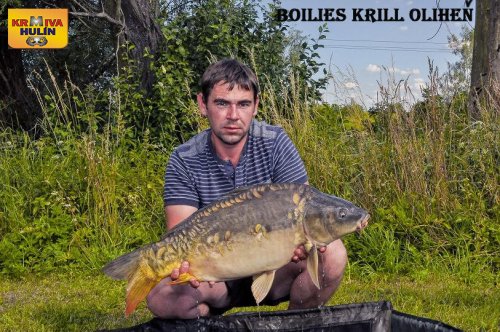 Boilies Krill/Oliheň, svazová voda