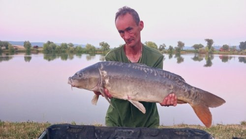 Boilies Jeseter