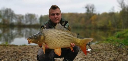 Boilies Pikantní krill