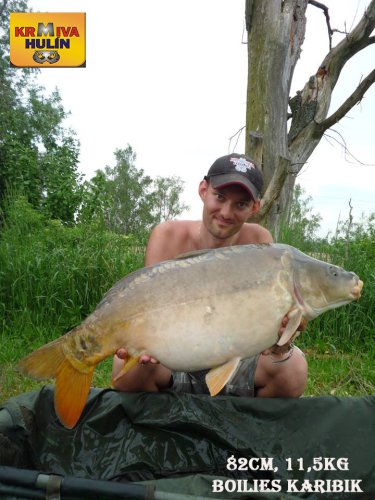 82cm, 11,5kg, boilies Karibik, svazová voda