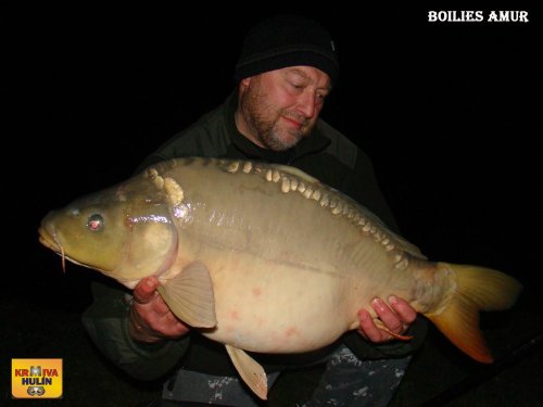 Boilies Amur