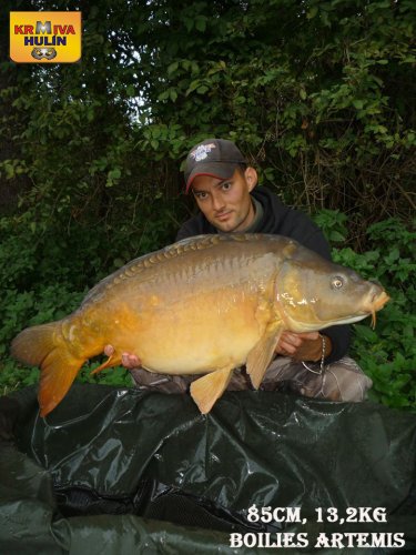 85cm, 13,2kg, boilies Artemis, svazová voda