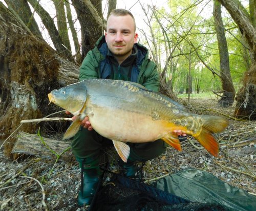 Boilies Calypso