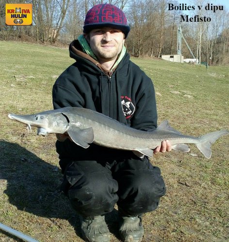Boilies v dipu mefisto