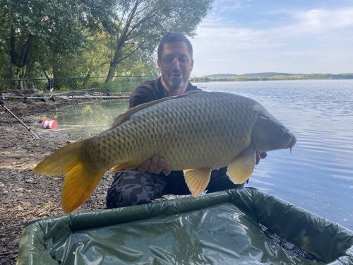 Boilies Krill a oliheň